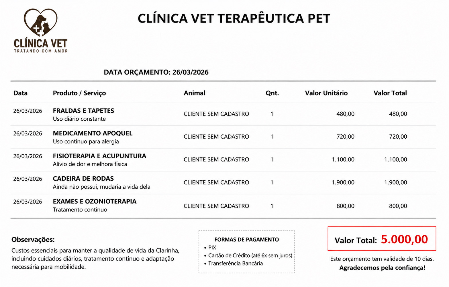 Orçamento veterinário do tratamento da Clarinha
